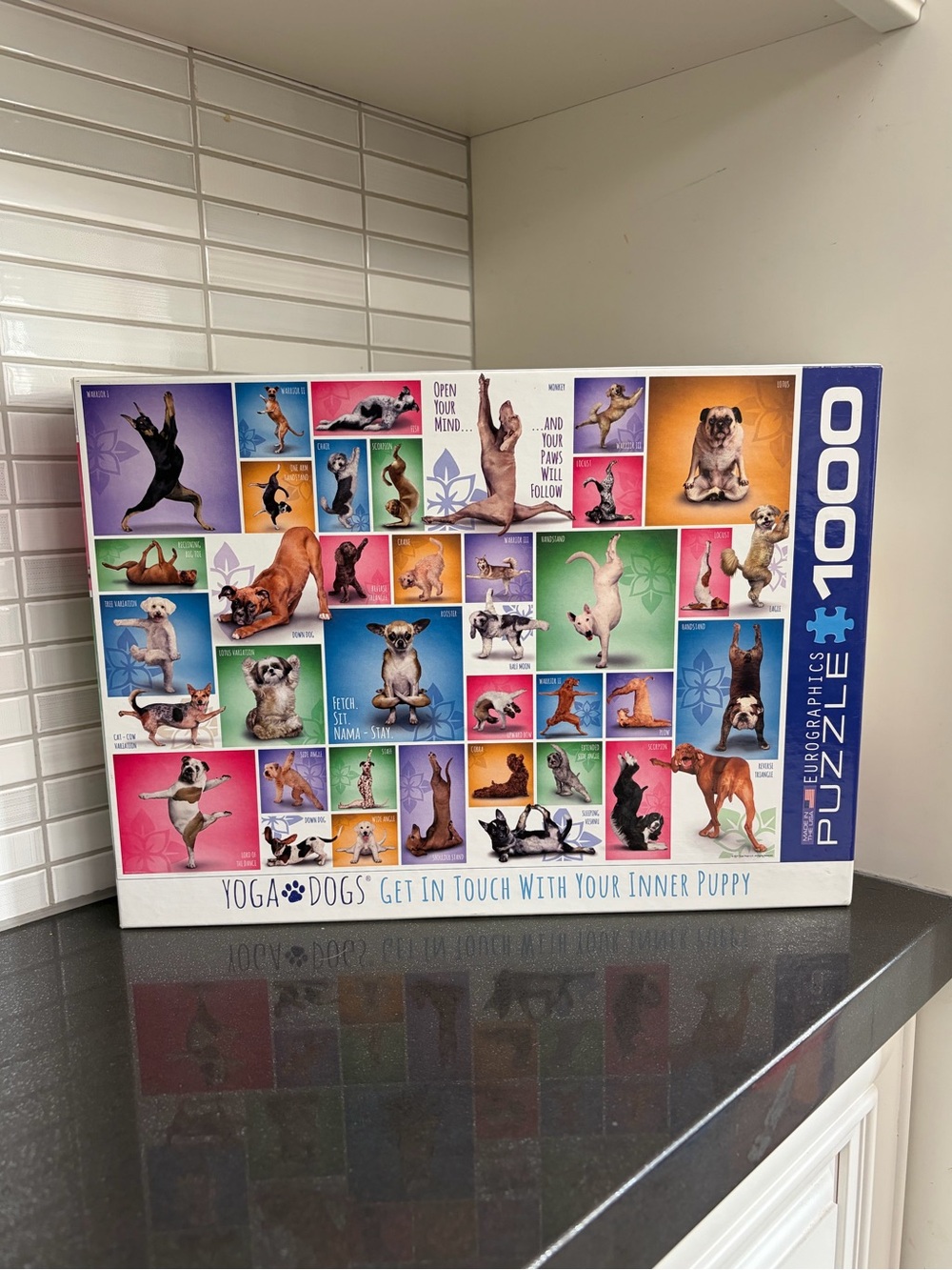 Eurographics Yoga Dogs Get in Touch With Your Inner Puppy 1000 piece puzzle